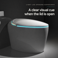 WC intelligent avec réservoir d'eau indépendant, commande vocale mains libres, éclairage nocturne ambiant, expérience d'ouverture lumineuse LED, OEM ODM