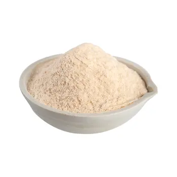 Wholesale Organic Bulk Psyllium Husk Seed Extract Food grade Powder Natural psyllium husk