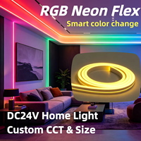 Bande LED RGB/RGBW d'extérieur 16*17mm IP67 DC24V, néon flexible à pliage latéral avec contrôleur intelligent pour éclairage commercial, décoration de comptoir de bar