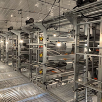 Nouvelle cage à poules pondeuses entièrement automatisée de type H à 3-8 niveaux en acier galvanisé, durée de vie de 15 à 20 ans