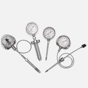 Zhyq PT124Y-615 डायाफ्राम प्रकार उच्च तापमान पिघल दबाव गेज S304/s316 सामग्री से प्रमाणित 350c 100 मिमी व्यास - Product Image 1