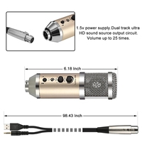 Micrófono de condensador con cable de nuevo diseño para estudio de grabación Equipo de podcast portátil para sistema móvil Android iOS Teléfono Metal