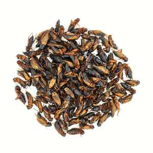 Proteine di Insetti Essiccati 100% Naturali, Cibo per Polli, Uccelli e Rettili, Grilli Essiccati - Product Image 1