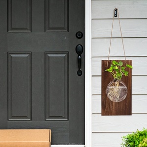 Stazione di propagazione delle piante ecologica personalizzata appeso a parete vaso di fiori per piante idroponiche vaso di vetro appeso con <span class=keywords><strong>Base</strong></span> in legno - Product Image 4