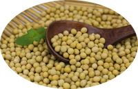 Lécithine de Soja en Poudre 95% Testée HPLC CAS 8002-43-5 Extrait Naturel de Soja Émulsifiant Qualité Alimentaire en Fût pour Aliments, Soins de Santé et Cosmétiques