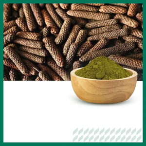 Reines Piper Longum Langpfeffer-Extrakt-Pulver Natürlicher Pflanzlicher Inhaltsstoff für Nahrungsergänzungsmittel Wellness-Formulierungen - Product Image 2