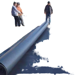 Современная водонепроницаемая геомембрана из ПНД толщиной 1,0-2,0 мм, с защитой от УФ-излучения, гарантия 5 лет, модель QY-GEO-3, для бассейнов, прудов, крыш, плотин - Product Image 1