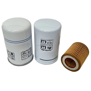 Kit de Filtro de Aceite para Compresor Manny 2200902301, Piezas Industriales Nuevas con 6 Meses de Garantía - Product Image 1