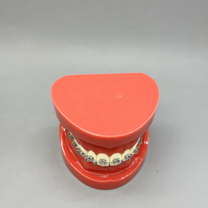 โมเดลฟันเรซินพร้อมลวดจัดฟันและลวดสลิงสำหรับอุปกรณ์ทันตกรรมแหล่งพลังงานด้วยตนเอง - Product Image 6