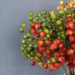 Fruits d'aubépine artificiels Meng Jie, orange, rouge, vert, champagne, rose, en plastique, pour décoration intérieure, accessoires de mariage, matériel floral - Product Image 4