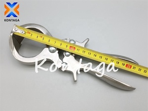 คีมคีบสเตนเลสสำหรับฟาร์มปศุสัตว์21.5ซม. - Product Image 4