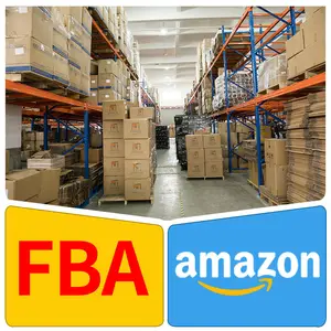 Servizio di consegna dei costi più economici di spedizione marittima internazionale della cina negli stati uniti regno unito europa Australia Amazon FBA