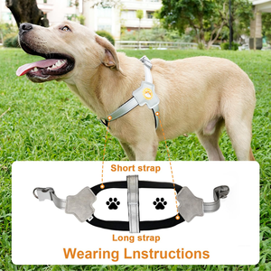 Custom LED <b>Dog</b> Harness OEM/ODM Breathable Mesh Polyester/Nylon Eco-Friendly No Pull Reflective <b>Padding</b> Your Logo Accepted - Product Image 5