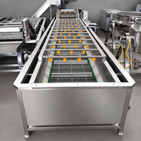 Fruitwasmachine, groentebubbelwasser, groentewasmachine, bubbelverse fruitwasser