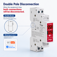 Interrupteur intelligent TUYA 2P double disjoncteur Wi-Fi Hongfa, disjoncteur de circuit 100-240V L-N/L-L 18mm 16A Tuya Smart Life TOVMT Chayo