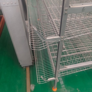 Cage à poulettes de type H pour l'<span class=keywords><strong>administration</strong></span> de vaccins et le suivi de la santé - Product Image 1