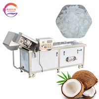 Temperatuurregeling multifunctionele machine voor het blancheren van maïs, fruit, groenten en kokoschips voor kokosvlees/gelei-snacks