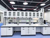 Armoire de rangement murale industrielle en acier SCEELAB pour laboratoire, usage commercial, pour les secteurs de la santé, des hôpitaux, des écoles, la recherche et les tests