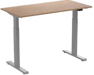 Vendite dirette della fabbrica telaio regolabile tavolo autonomo elettrico doppio motore Sit Stand scrivanie per ufficio metallo moderno
