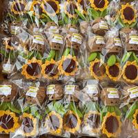 2026 Fleur en pot faite main au crochet, motif tournesol positif à trois feuilles et dix pétales, ou cactus succulent au crochet, cadeau Fête des Mères