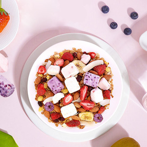 Abaole-yogurt instantáneo <span class=keywords><strong>de</strong></span> 500g, <span class=keywords><strong>cereales</strong></span> <span class=keywords><strong>de</strong></span> avena, frutas horneadas - Product Image 3