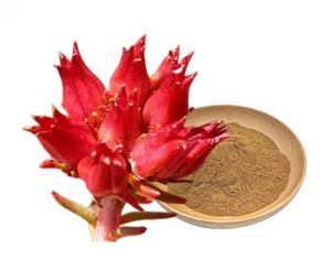 Экстракт корня родиолы розовой Порошок 3% розавин 10% салидрозиды пищевая травяная добавка - Product Image 2