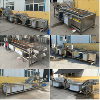 Hogedruk fruit- en groente ozonbelwasmachine voor aardappel, sla en bladgroenten met transportband