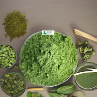 Poudre de Super Greens de qualité alimentaire, extrait d'herbes sauvages, compléments nutritionnels, mélange de fruits et légumes