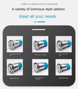 16mm 220V Round LED IP65 Stainless Steel Momentary Locking <b>Light</b> Switch with <b>Push</b> Button - Product Image 6