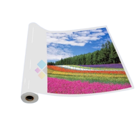 Rouleau de papier photo jet d'encre RC 260g brillant, lustré, mat, séchage instantané, 12, 17, 24/36 pouces pour imprimantes EPSON, CANON, HP