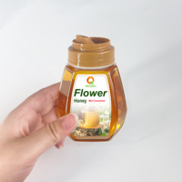 Bouteille de Miel en Plastique en Gros avec Bouchons, Pot à Miel Anti-Goutte Transparent pour Aliments 300g 500G 1000G, Bouteilles Cylindriques en Plastique pour Aliments