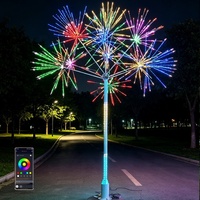 Guirlande lumineuse LED en métal à commande par application, effet feux d'artifice, couleurs RGB changeantes, étanche IP65, pour extérieur, jardin, Noël, fête, décorations lumineuses à pixels