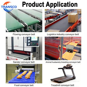 Banda Transportadora de PVC Verde de Alta Calidad Personalizada con Laterales Acanalados, Banda <span class=keywords><strong>Habasit</strong></span> para la Industria Frutal - Product Image 5