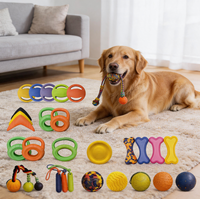 Jouets interactifs pour chiens certifiés CE FDA en EVA, jouets à mâcher pour chiots, pour soulager le stress et prendre soin des dents