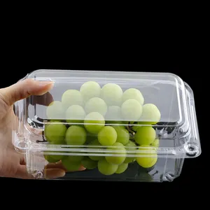 Boîte d'emballage jetable en plastique, contenant avec clapet, pour fruits et légumes, 50 pièces