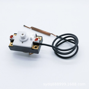 WQB40A/45A/55A <b>Electric</b> <b>Water</b> <b>Heater</b> Instantaneous Quick-Heating Storage with Temperature Control Capillary Heat Limiter - Product Image 5
