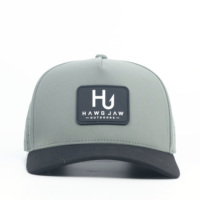 Op maat gemaakte groothandel logo nieuwe sport katoenen snapback baseball petten met geborduurd logo, 5 panelen