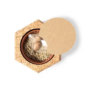 Frasco con Semillas de Pino, Gadgets Ecológicos - Product Image 2