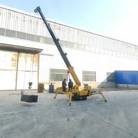 Vente directe du fabricant, mini-grue araignée hydraulique CE, moteur Honda, alimentation à l'essence, pour utilisation en intérieur, espace restreint