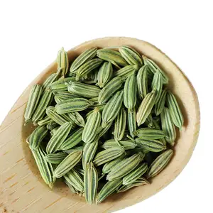 Factory Wholesale Customized Natural Spices Fennel Seeds Price Spices Seed