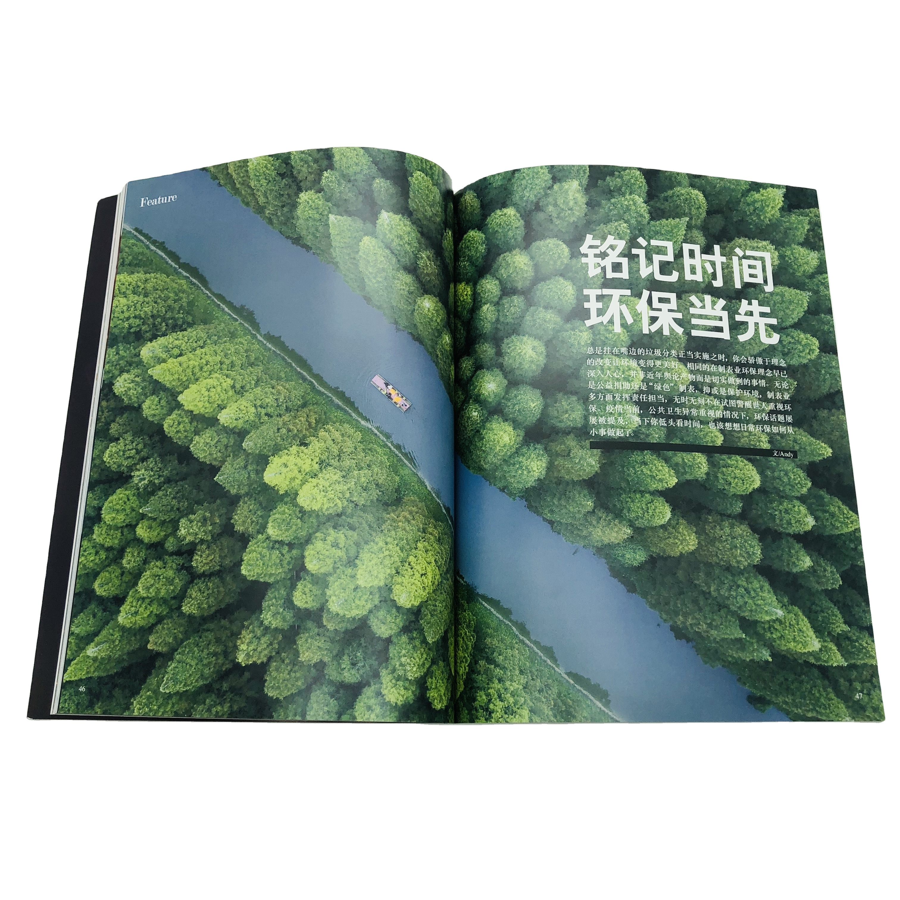 SM-ZZ032 оптовый заказ модный журнал для гурманов журнал литературные издания печать