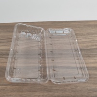 Contenitore Rettangolare in Plastica PET Trasparente Monouso per Imballaggio Frutta, Scatola da 250g per Mirtilli