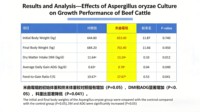 Acides et enzymes organiques dérivés d'Aspergillus Niger : Modulateur de la santé intestinale pour porcelets et veaux sevrés afin de réduire la diarrhée