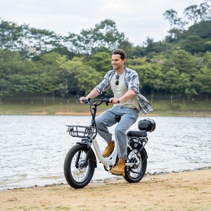 OEM ODM Factory Wholesale Price 20 Inch Fat Tire <b>Electric</b> Bike for Adults Step Through Urban E Bicycle - Product Image 3