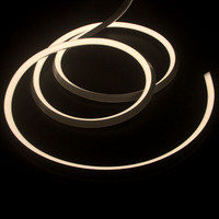 Iluminación de Neón 3D con Efecto Dimensional y Brillo de Doble Plano, Superficie Superior y Laterales que Maximizan el Impacto Visual