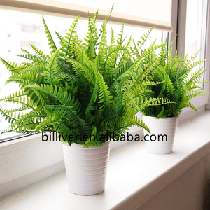 Simulación de hierba <span class=keywords><strong>persa</strong></span>, <span class=keywords><strong>caballo</strong></span> de mar, plantas de hierba, planta verde, decoración de pared, flores, hojas verdes, helechos de otoño - Product Image 5