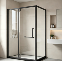 Cabine de douche en verre trempé de luxe américaine pour salle de bain moderne