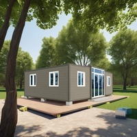 20 pieds 30 pieds 40 pieds extensible grand-mère plat préfabriqué maison conteneur portable bon prix à vendre