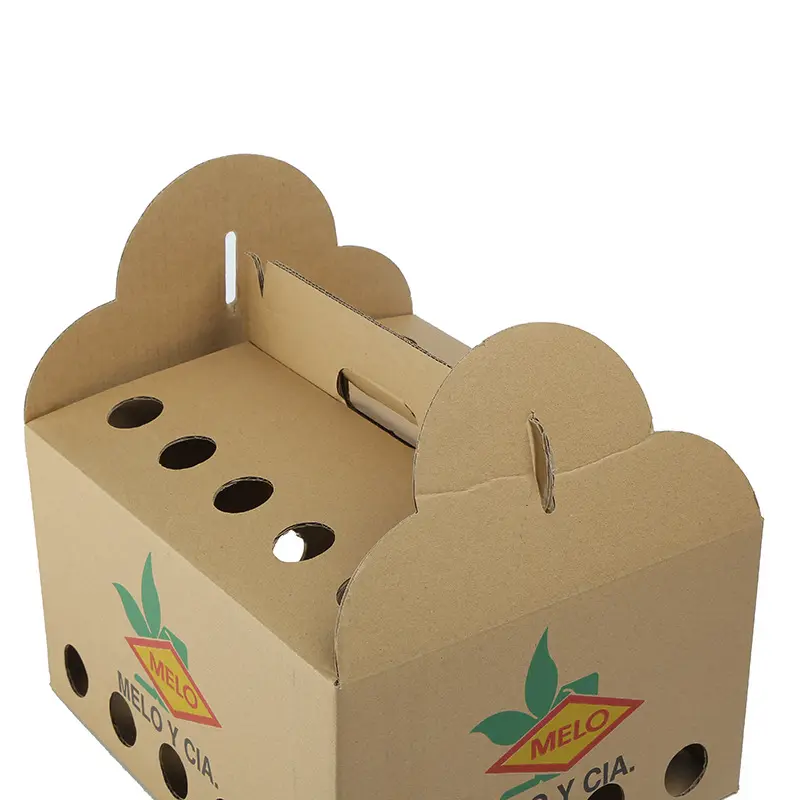 Kunden spezifische Verpackungs box aus extra hartem Papier für Hersteller von Obst kartons, Karton mit Griff und Entlüftung