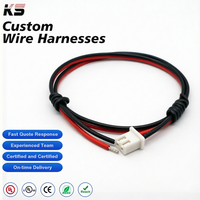 Rangkaian Kabel Konektor JST GH 2.0mm Pitch OEM Custom Wire Harness 2P-12Pin untuk Elektronik Konsumen, Pengiriman Tepat Waktu